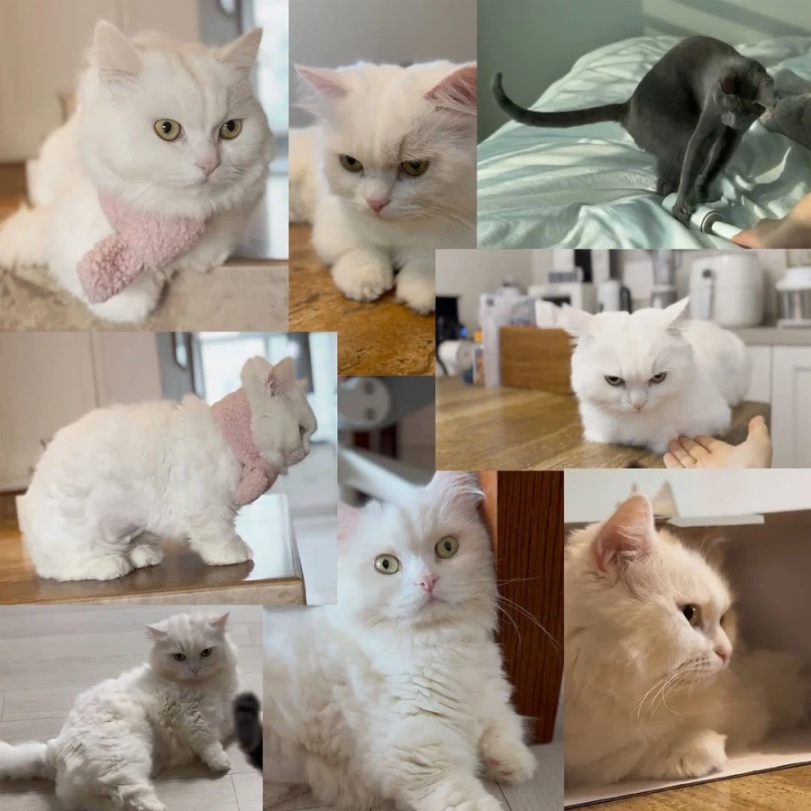 어느 이혼변호사의 고충.manhwa_79.webp