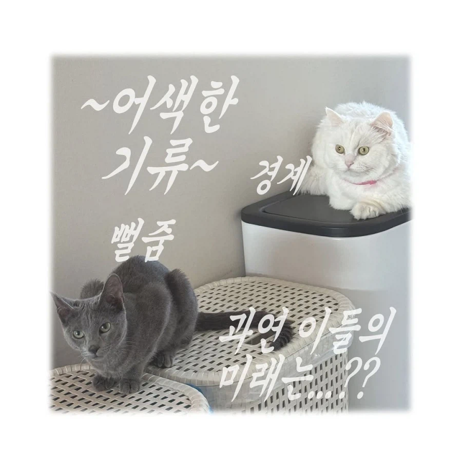 어느 이혼변호사의 고충.manhwa_83.webp