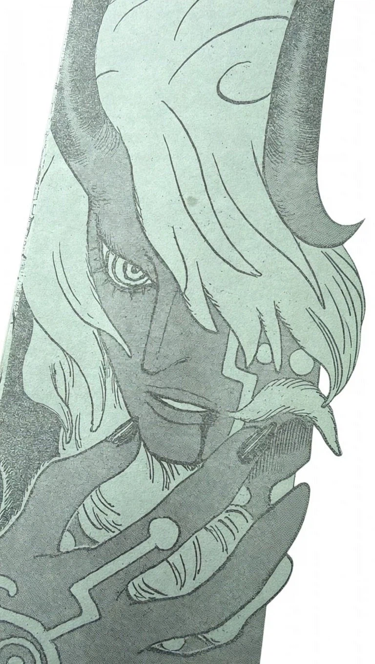 원피스/스포) 그 캐릭터 찐공개_1.webp