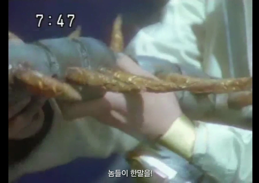 스압,전대) 아바렌쟈의 실질적인 진주인공_16.webp