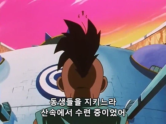 드래곤볼GT) 수련 기간 제일 손해본 캐릭_1.webp