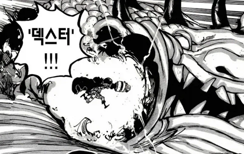 원피스/스포) 엘바프 편에서 동료들이 받은 서사.jpg_3.webp