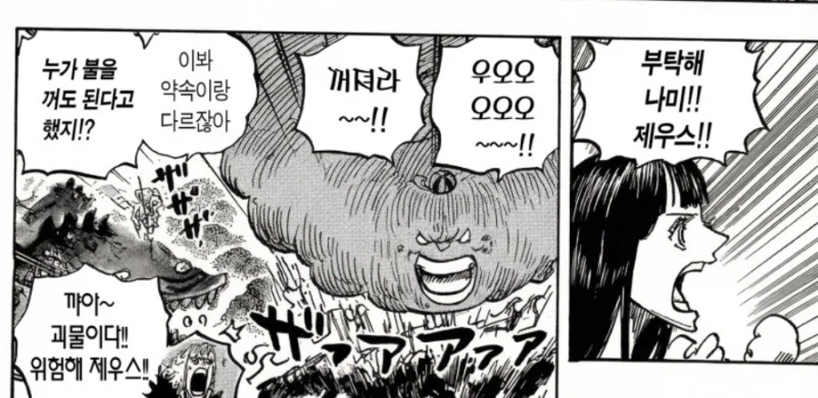 원피스/스포) 엘바프 편에서 동료들이 받은 서사.jpg_5.webp