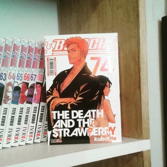 블리치) 한창때 커플링으로 존나 불탄이유_12.webp