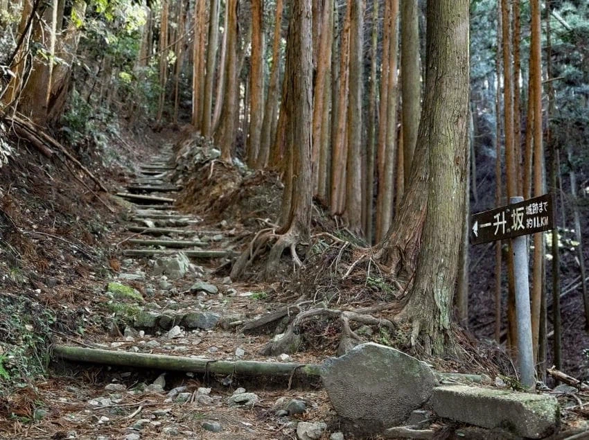 츠가이) 소여사가 말한 주인공 마을의 실제 모델_3.webp