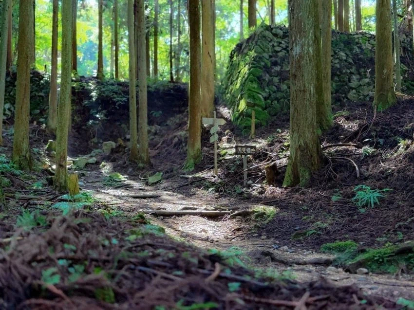 츠가이) 소여사가 말한 주인공 마을의 실제 모델_5.webp