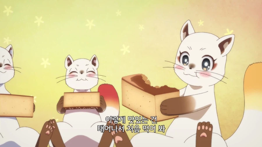 카스테라 먹을래?_4.webp