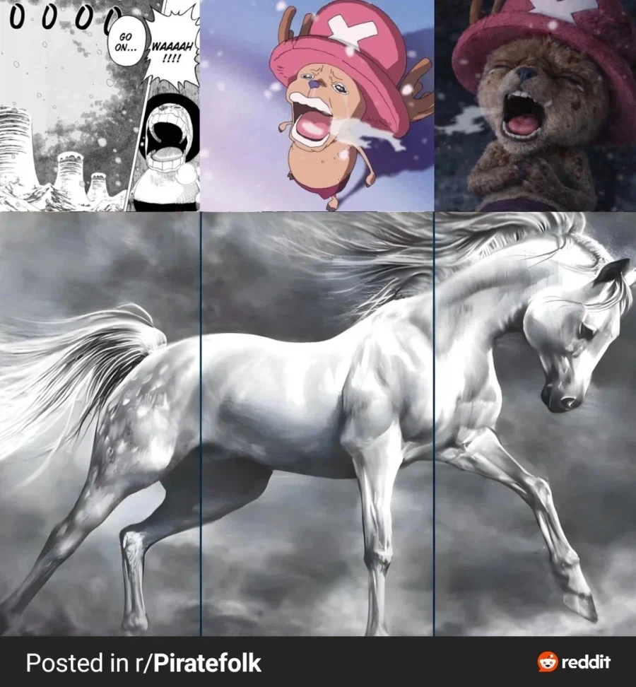 원피스)이거 왤케 비슷하냐_1.webp