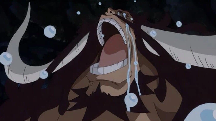 원피스)이거 왤케 비슷하냐_2.webp