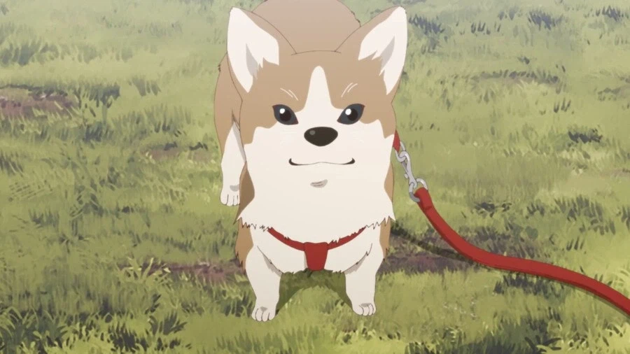 내마위]명령하면 잘 듣는 강아지_3.webp