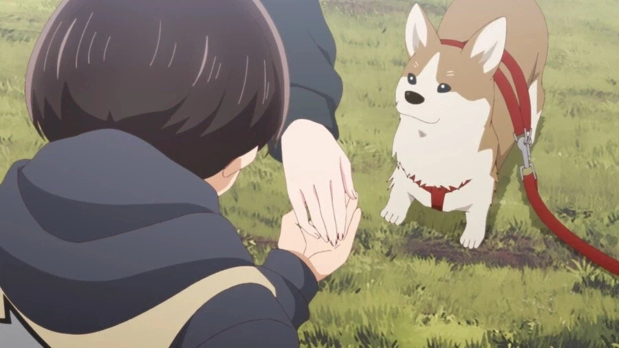 내마위]명령하면 잘 듣는 강아지_9.webp