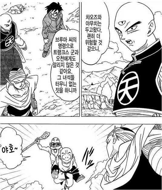 드래곤볼) 드볼 역사에 있어서 제일 쩌는 무술가_2.webp