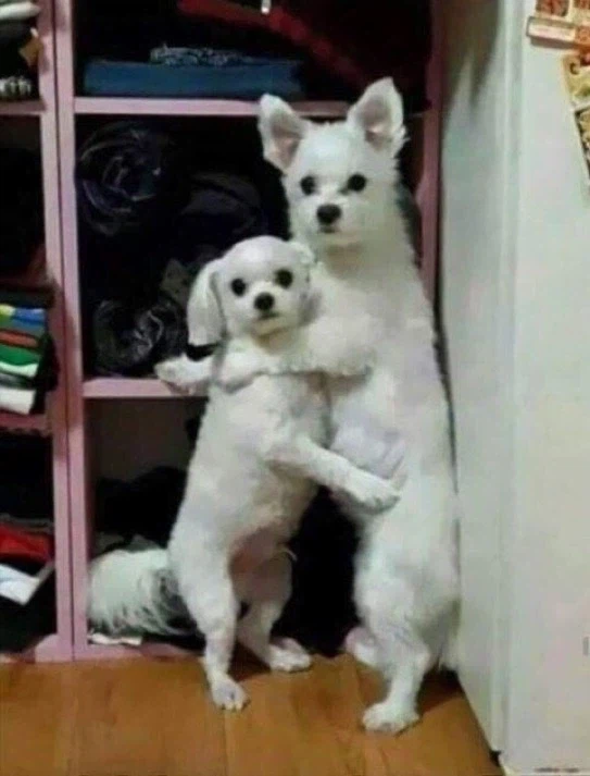 디지몬) 이쯤되면 진짜로 무서워지는거_4.webp