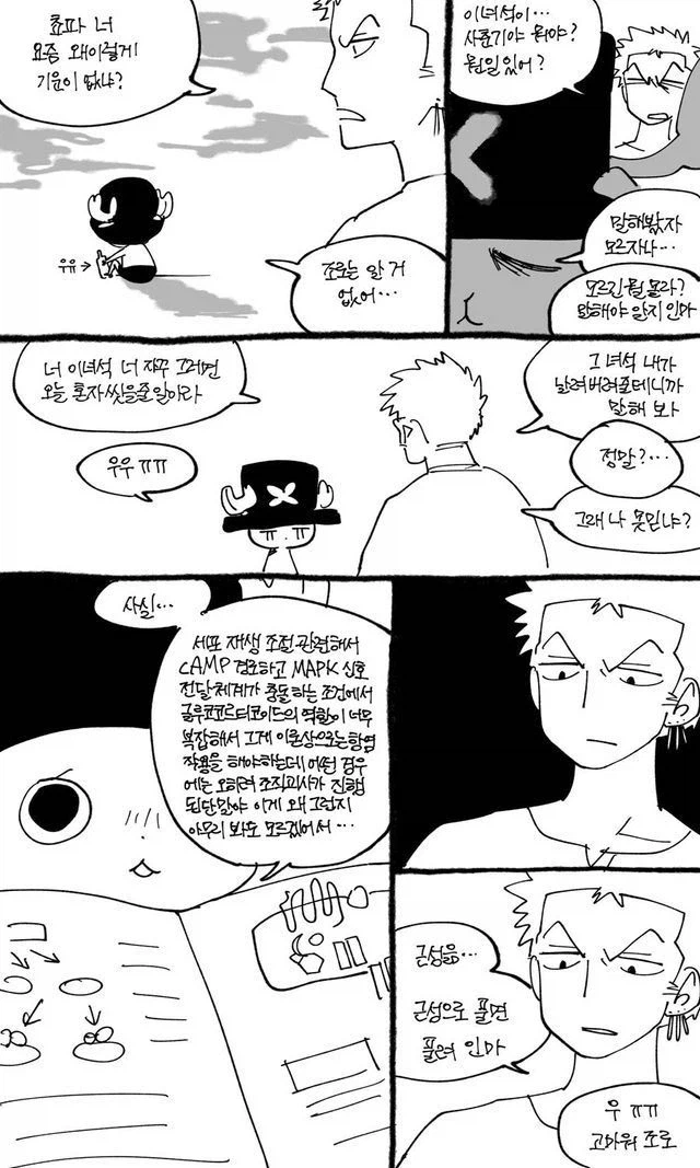 원피스 팬만화) 사춘기 온 쵸파를 달래는 조로_1.webp