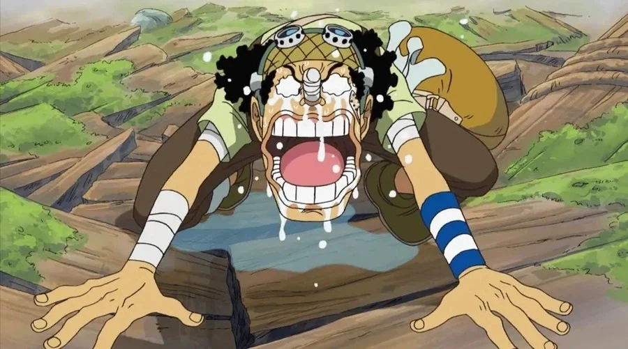 원피스) 의외로 동료 권유를 받은 적 없는 밀짚모자 해적단원_2.webp