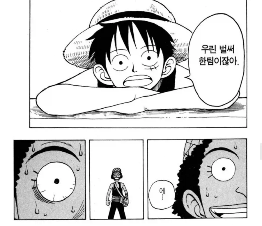 원피스) 의외로 동료 권유를 받은 적 없는 밀짚모자 해적단원_5.webp