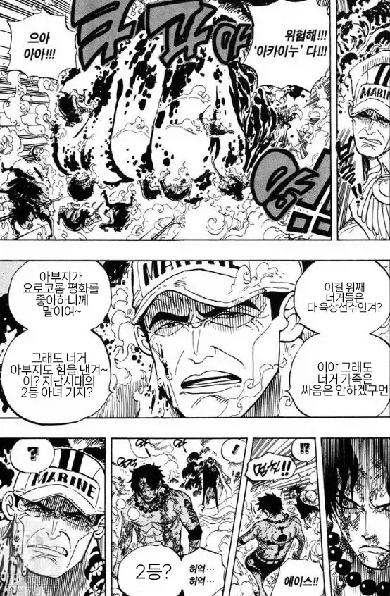 원피스) 에이스 급발진의 개연성 확보하기_1.webp