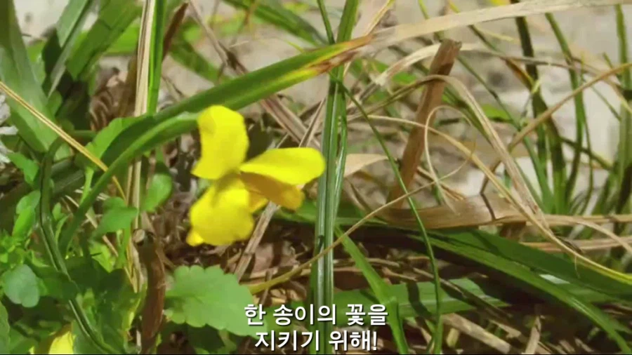 가면라이더)비슷한 장면 다른 개연성_1.webp