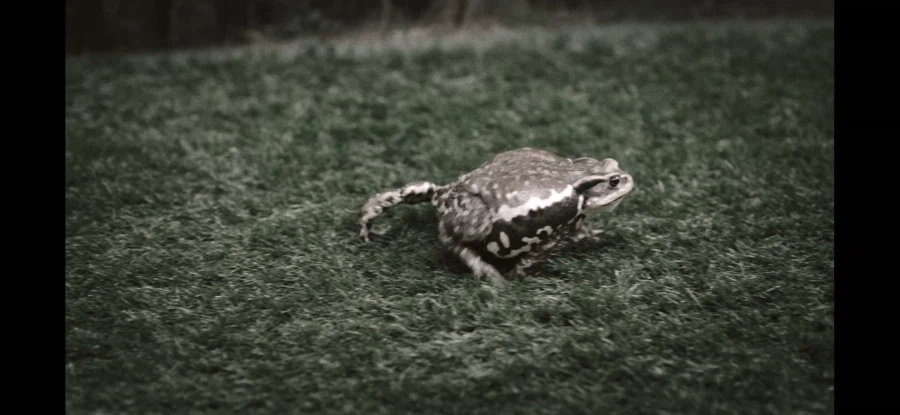 가면라이더)비슷한 장면 다른 개연성_6.webp