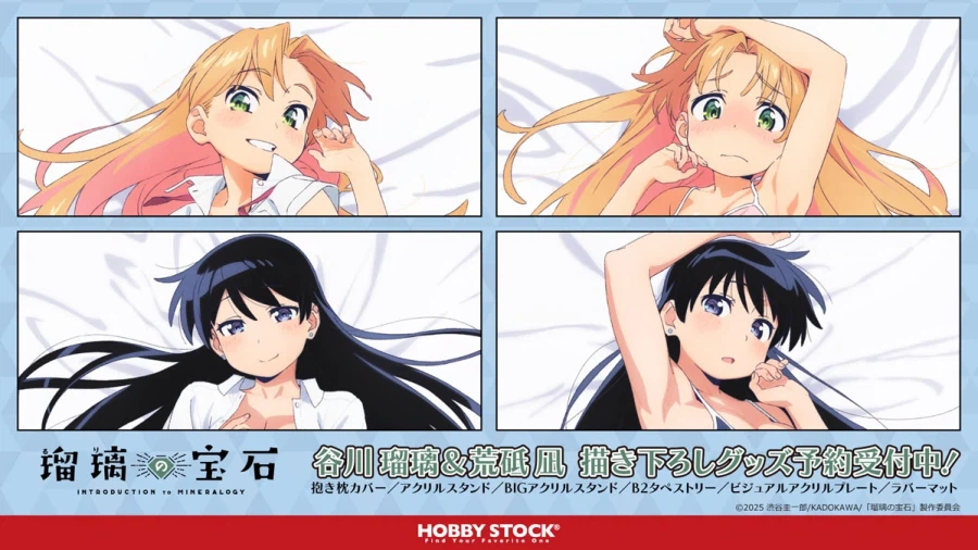 [루리의보석] 점점 미쳐가는 굿즈 수위_2.webp