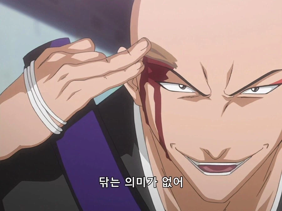 블리치) 작가가 팬들이 놀려먹는 거 알고 넣은 듯한 설정_2.webp
