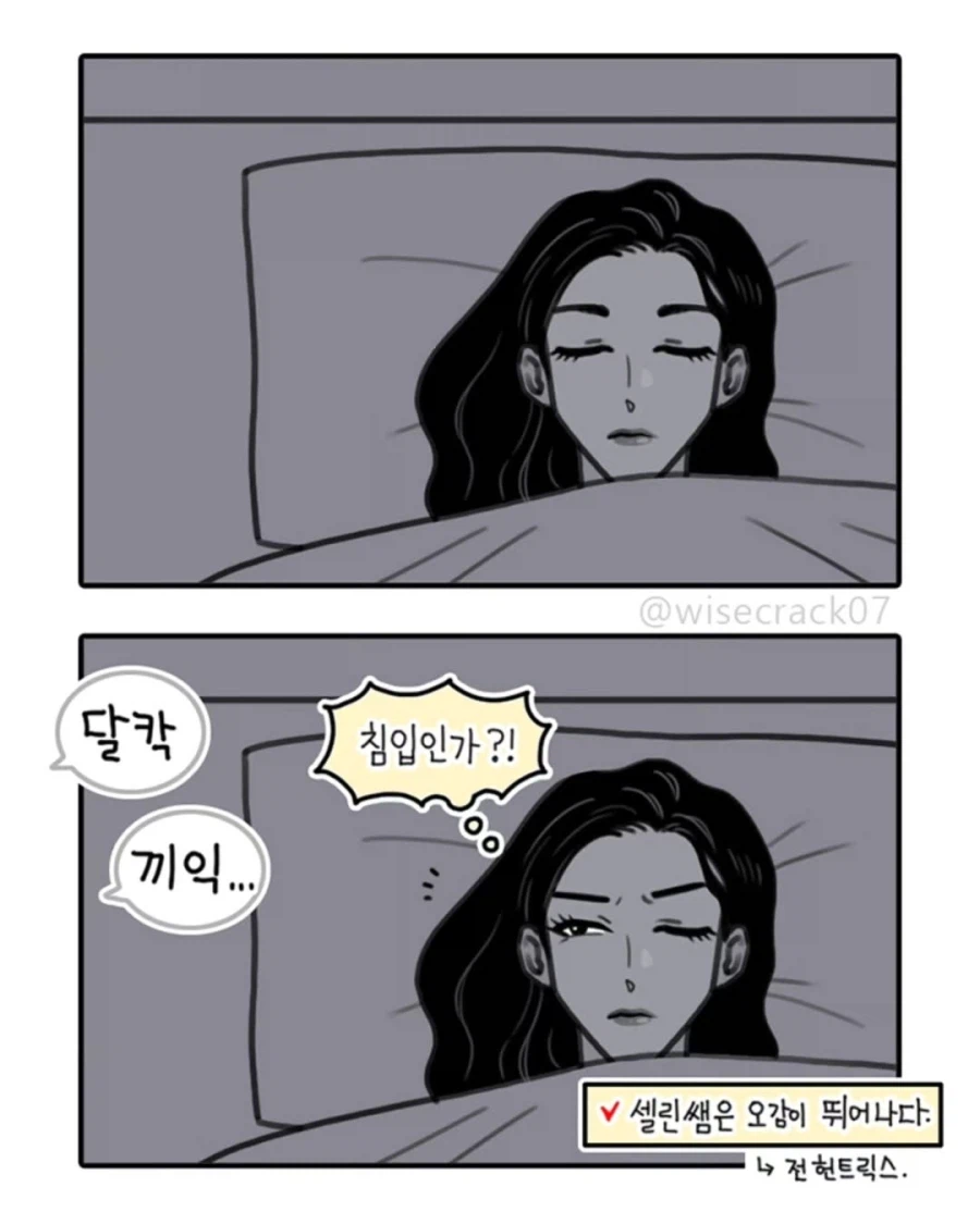 케데헌) 헌트릭스 연습생 시절 만화.jpg_7.webp