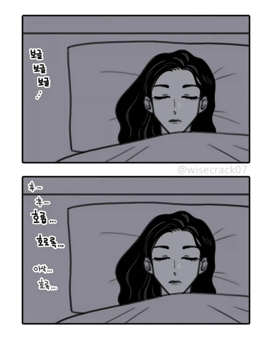 케데헌) 헌트릭스 연습생 시절 만화.jpg_13.webp