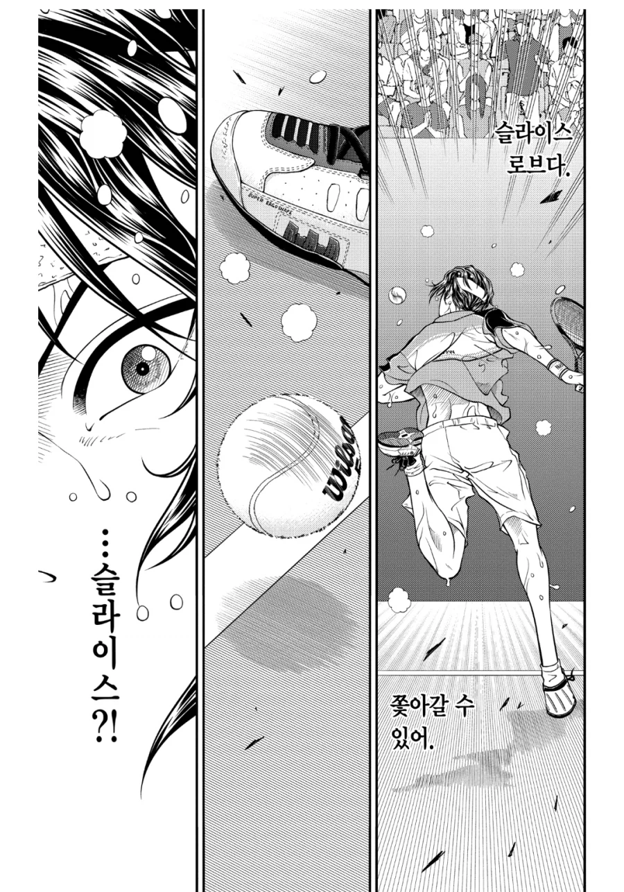 테니스의 왕자) 이 만화를 보는 이유_13.webp