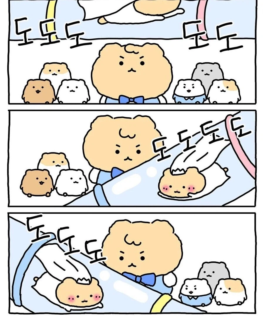 햄스터 결혼식.manwha_5.webp