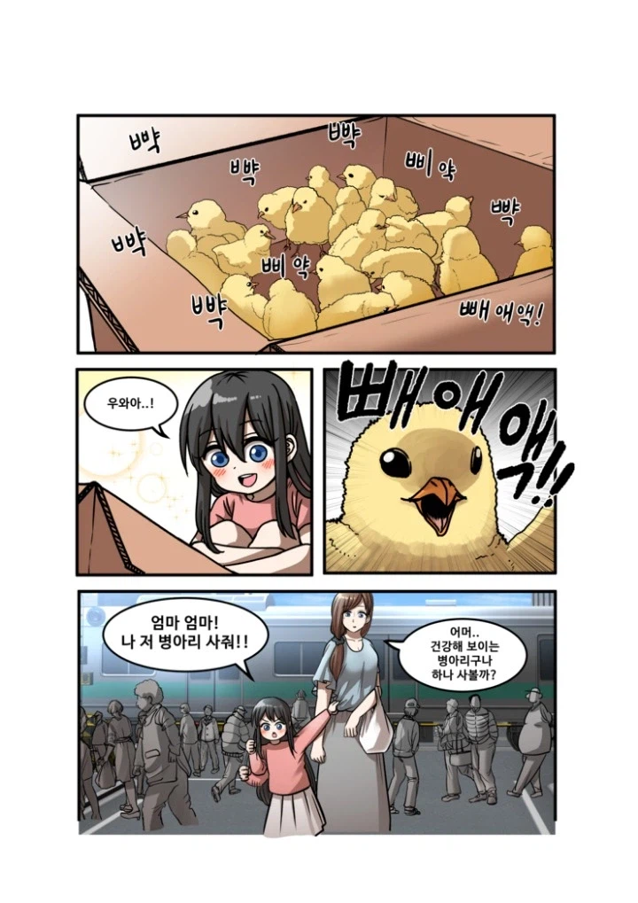 새끼 병아리를 산 여자애 만화_1.webp