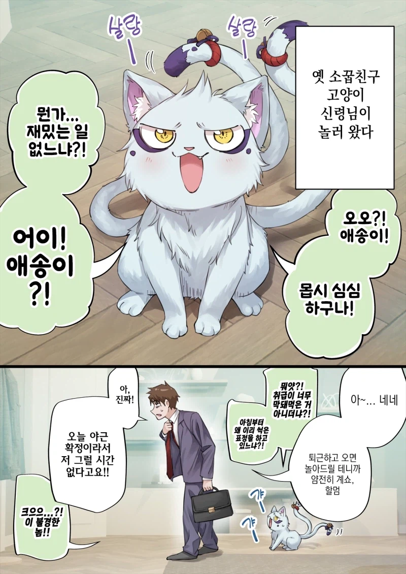 팔방미인 고양이 신령님 만화_1.webp