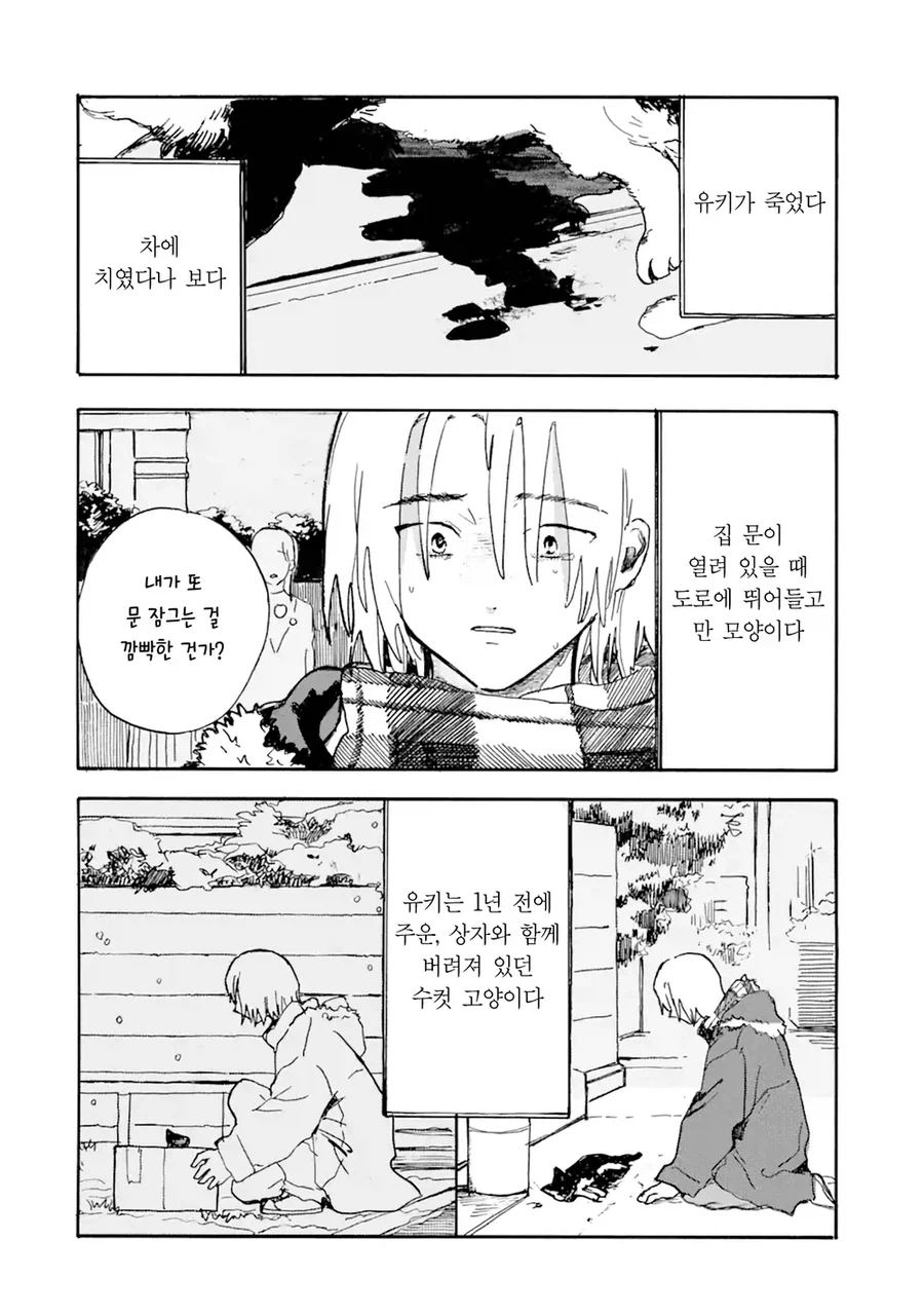 사고로 죽은 반려묘가 인간으로 환생해 내 앞에 나타난 만와.manga_2.webp