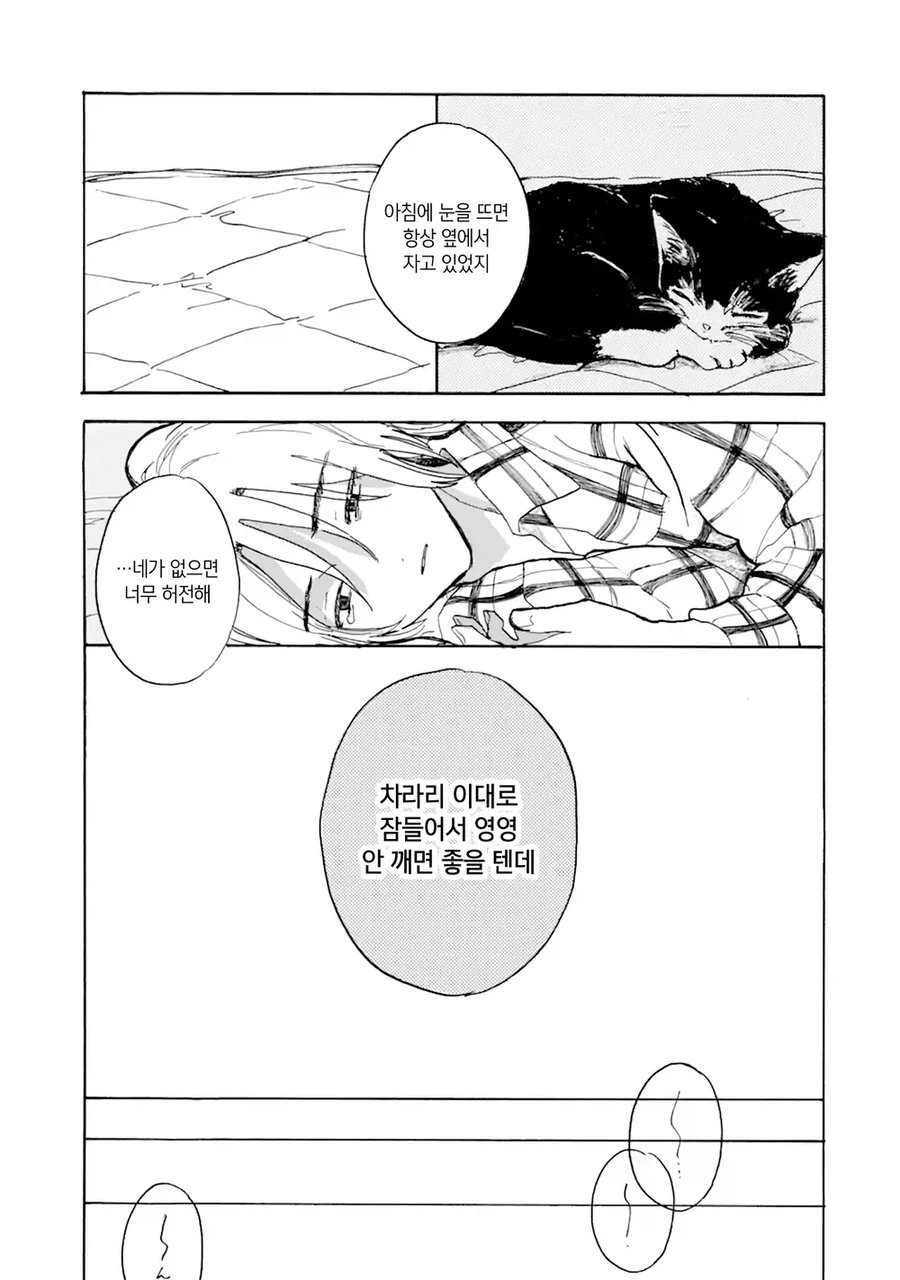 사고로 죽은 반려묘가 인간으로 환생해 내 앞에 나타난 만와.manga_5.webp