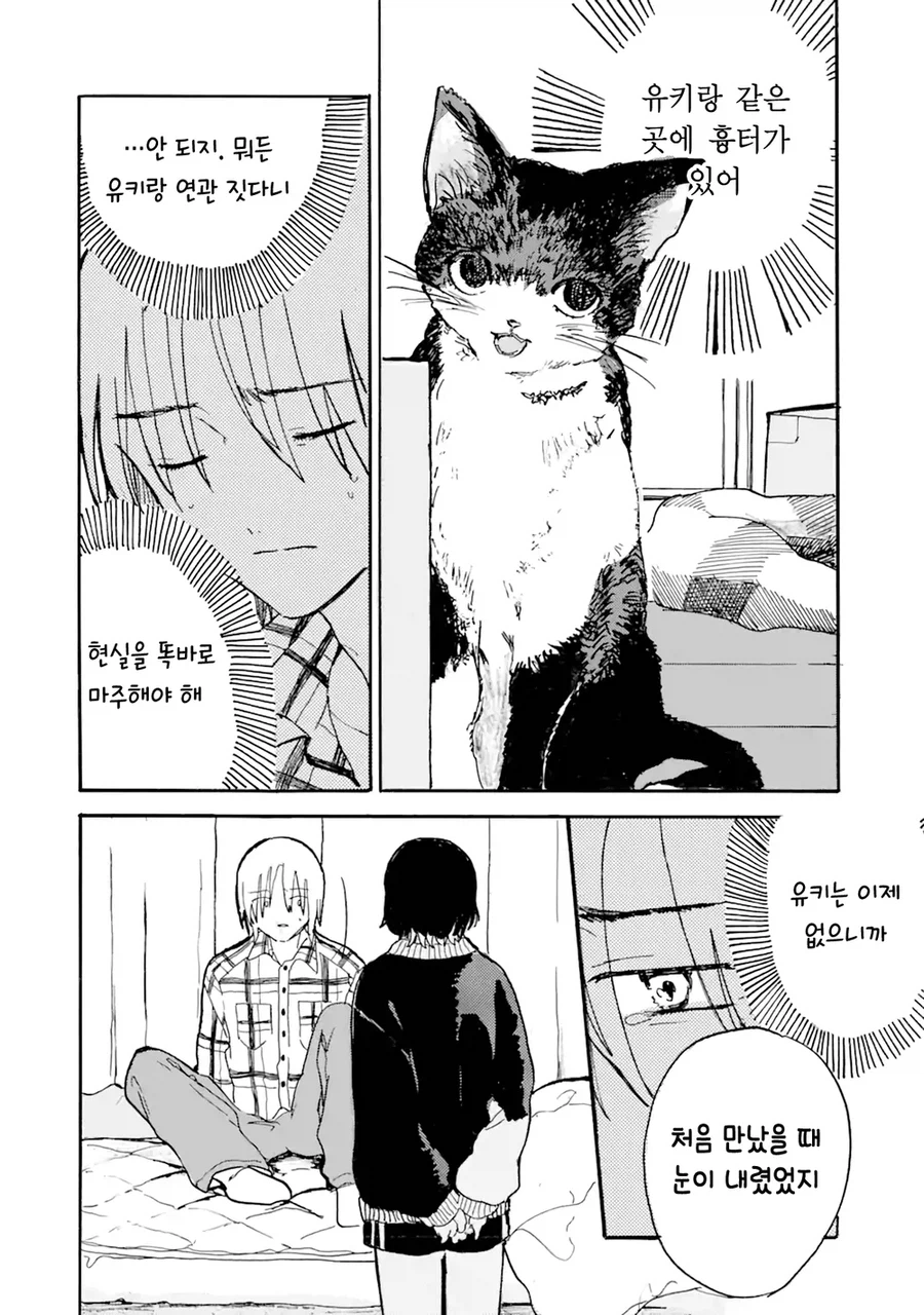 사고로 죽은 반려묘가 인간으로 환생해 내 앞에 나타난 만와.manga_10.webp