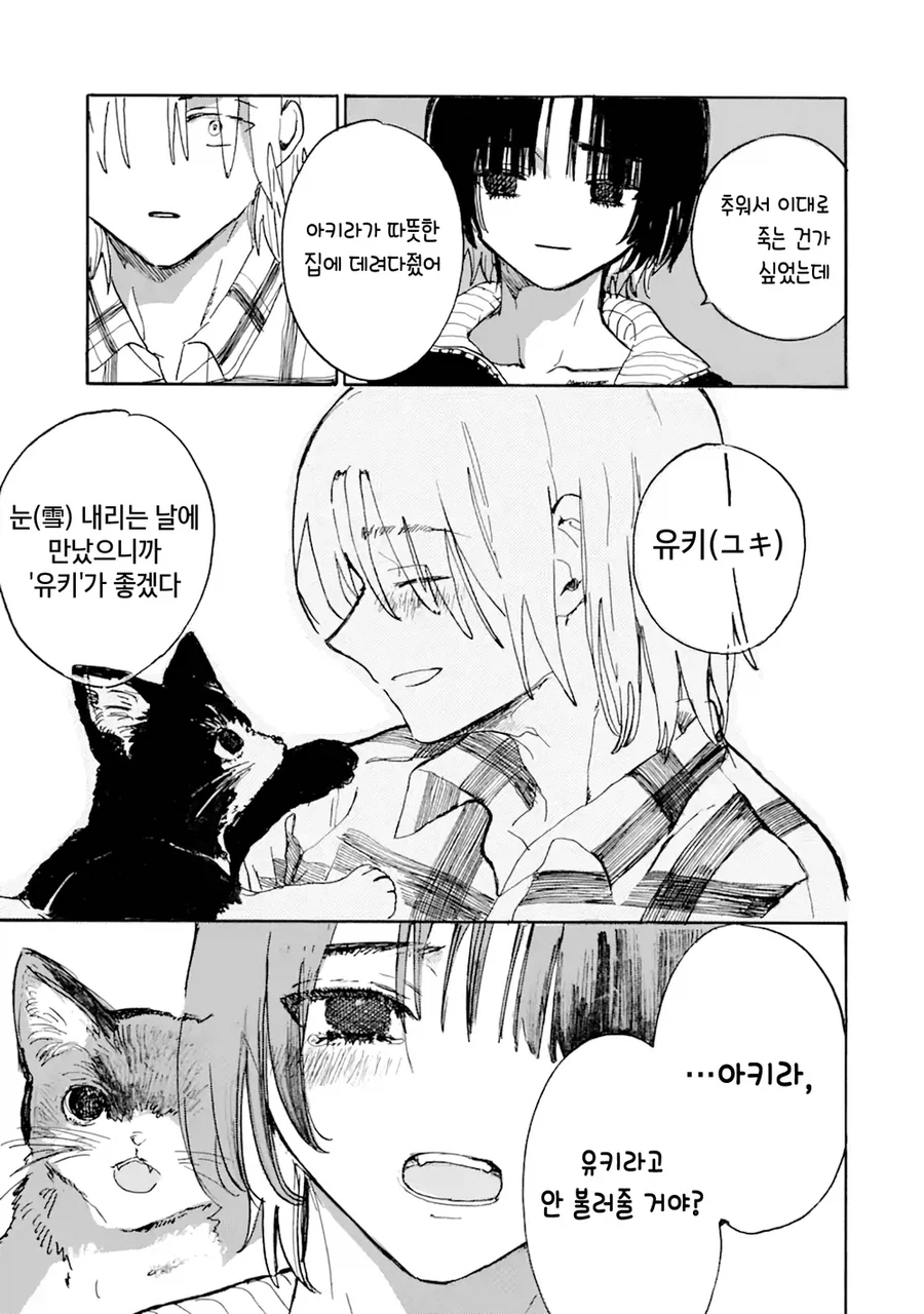 사고로 죽은 반려묘가 인간으로 환생해 내 앞에 나타난 만와.manga_11.webp