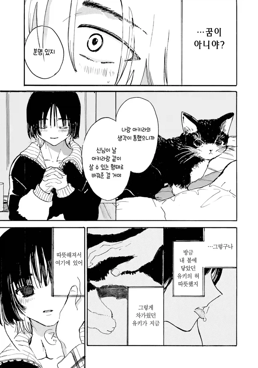 사고로 죽은 반려묘가 인간으로 환생해 내 앞에 나타난 만와.manga_24.webp