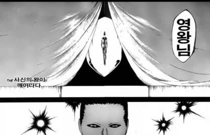 블리치) 당한짓에 비해 성격이 너무좋던 인물_1.webp