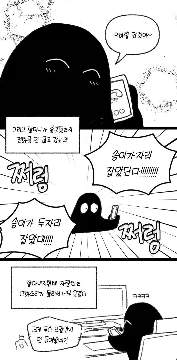 할머니랑 같이 임영웅 콘서트 간 manhwa._3.webp