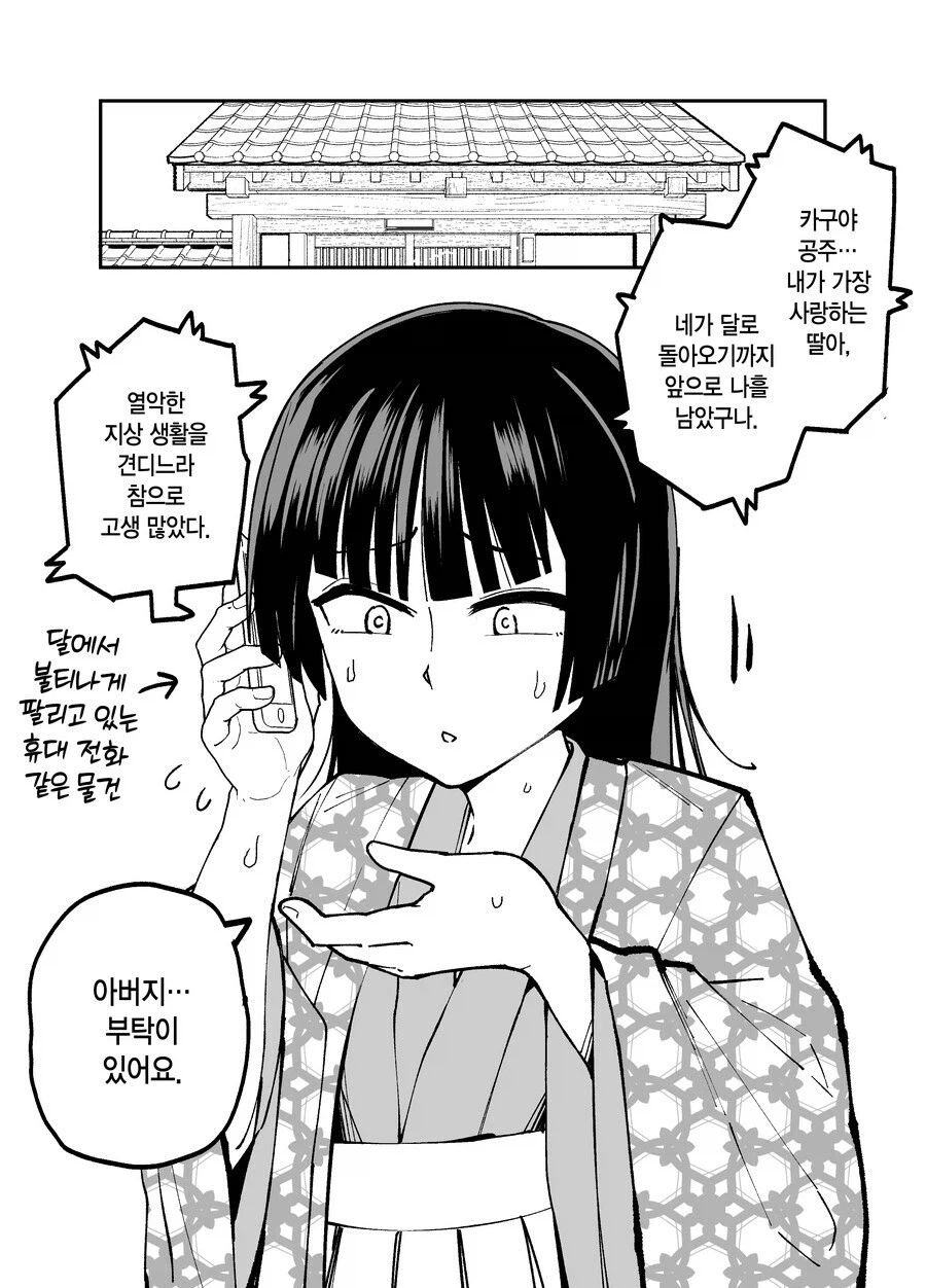 10일후 달로 돌아가는 카구야 공주 만화_25.webp