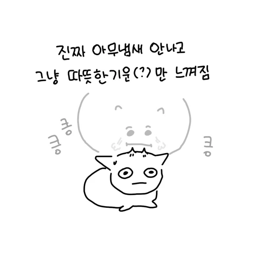 회사 친구랑 고양이 카페에 간 만화.manga_8.webp
