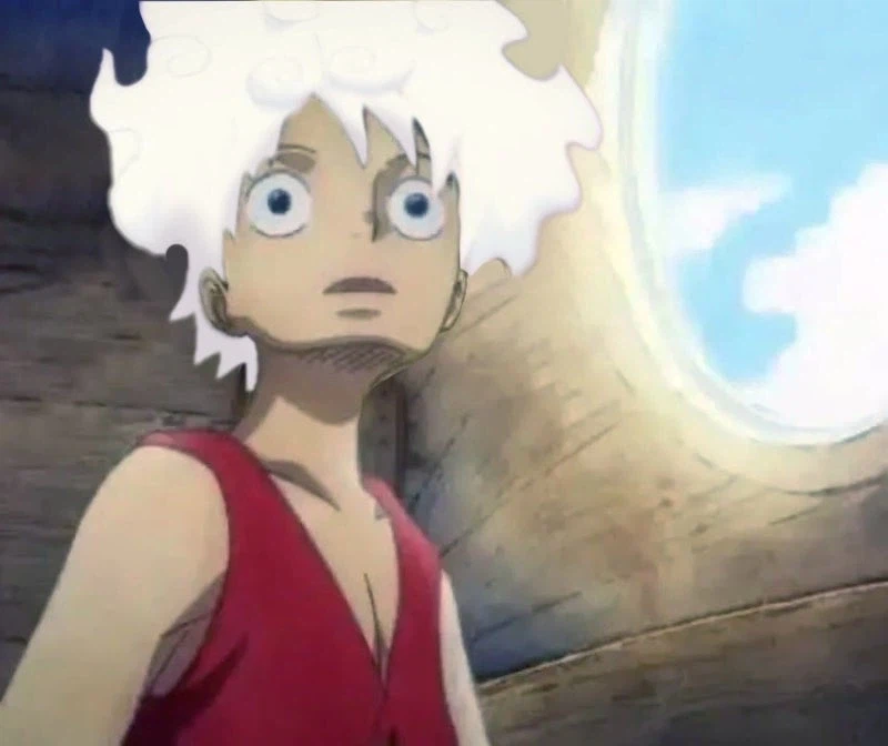 원피스) 루피: 너 사자고양이 정돈 잡을 수 있잖아?_2.webp