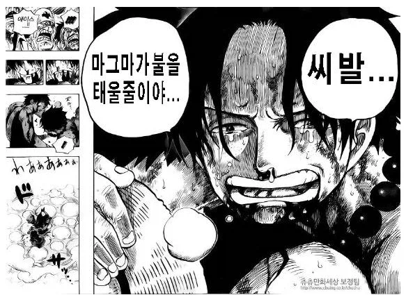 원피스)레일리가 에이스 구하러 안갔다고 까이는거 억까지_2.webp