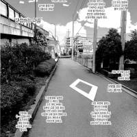 어느 쩡인지의 정신 나간 도쿄올림픽 설정