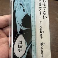 블리치)13cm데이