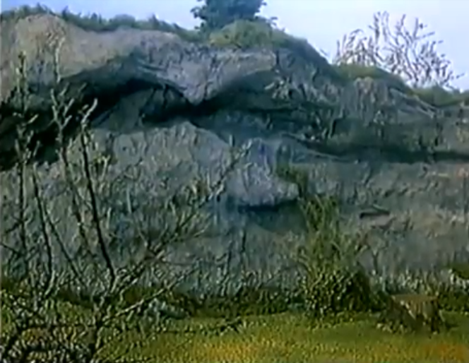 2020_06_167f0a8999d4cc7b8.png