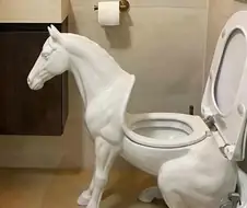 어느 가정집 애마