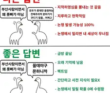 부산에서 롯데를 응원하지 않는 아무도 못따지는 명분