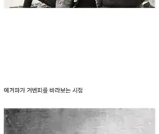 진격) 서로를 바라보는 시선.jpg