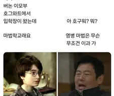 해리포터) 해리 삼촌이 성동일이었다면.jpg