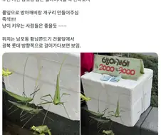 남포동 금손 할아버지